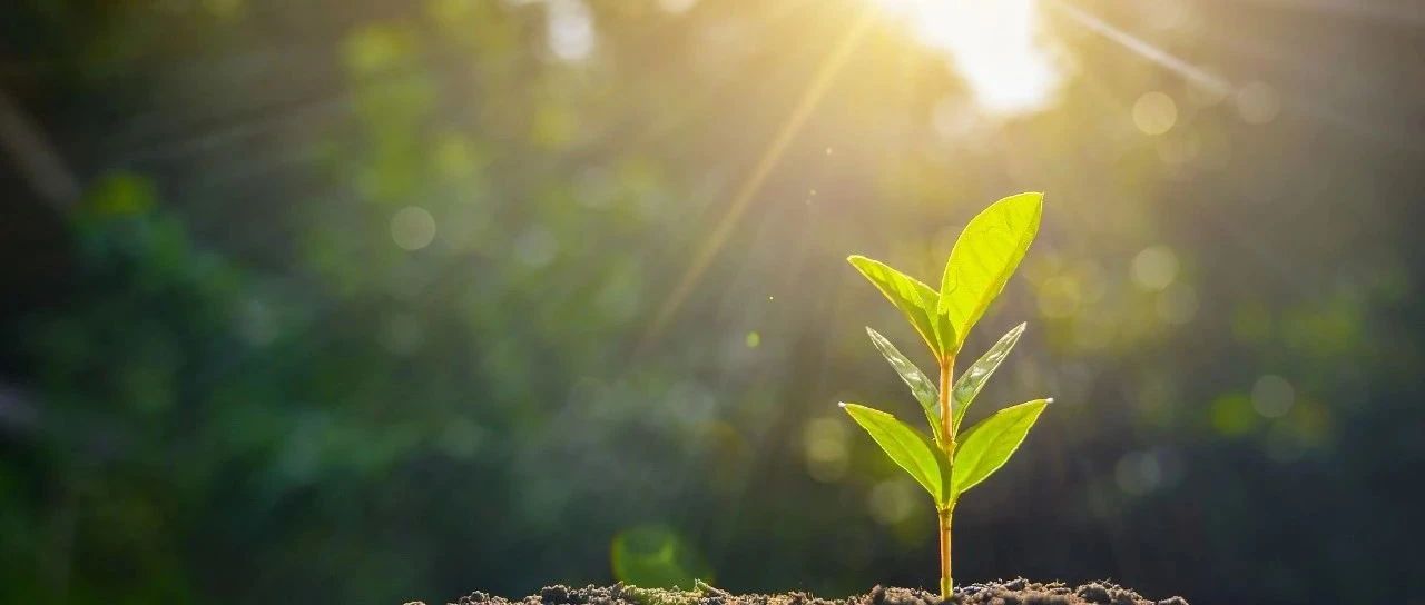 同甘共苦 患难与共 | 河南暴雨灾后复原博天堂集团在行动