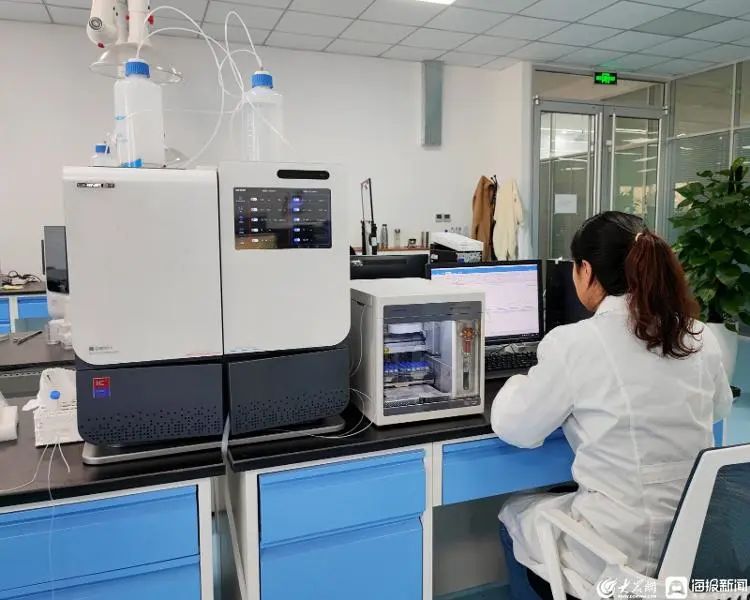 博天堂集团离子色谱仪